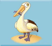 Seagull